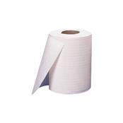 (pack Of 2) Lucart Eco100w 2ply White Recycled Paper Industrial Wiper Rolls