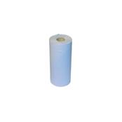 (pack Of 24) Lucart Easy100bh 2ply Blue Embossed Hygiene Paper Towel Rolls