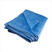 Dust Sheets And Tarpaulins