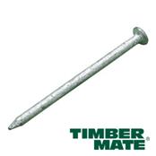 2.5kg 100mm Galvanised Round Head Nails