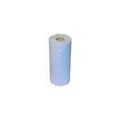 (pack Of 24) Lucart Easy100bh 2ply Blue Embossed Hygiene Paper Towel Rolls