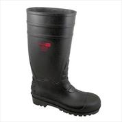 Wellingtons